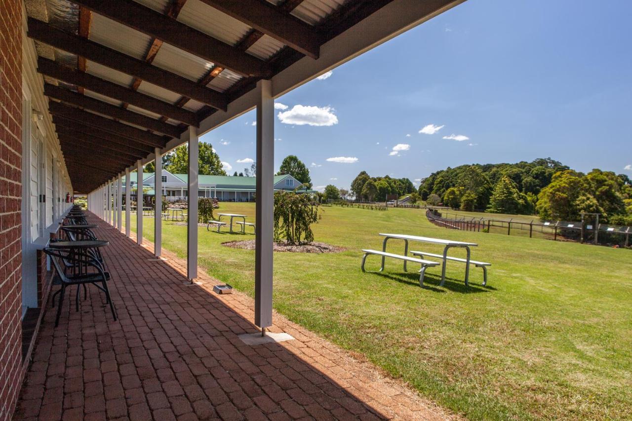 Lookout Mountain Retreat Motel Dorrigo Exterior foto
